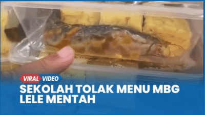 Viral Menu MBG Lele Mentah di Pamekasan: Fakta Lengkap, Klarifikasi BGN, dan Pelajaran Berharga