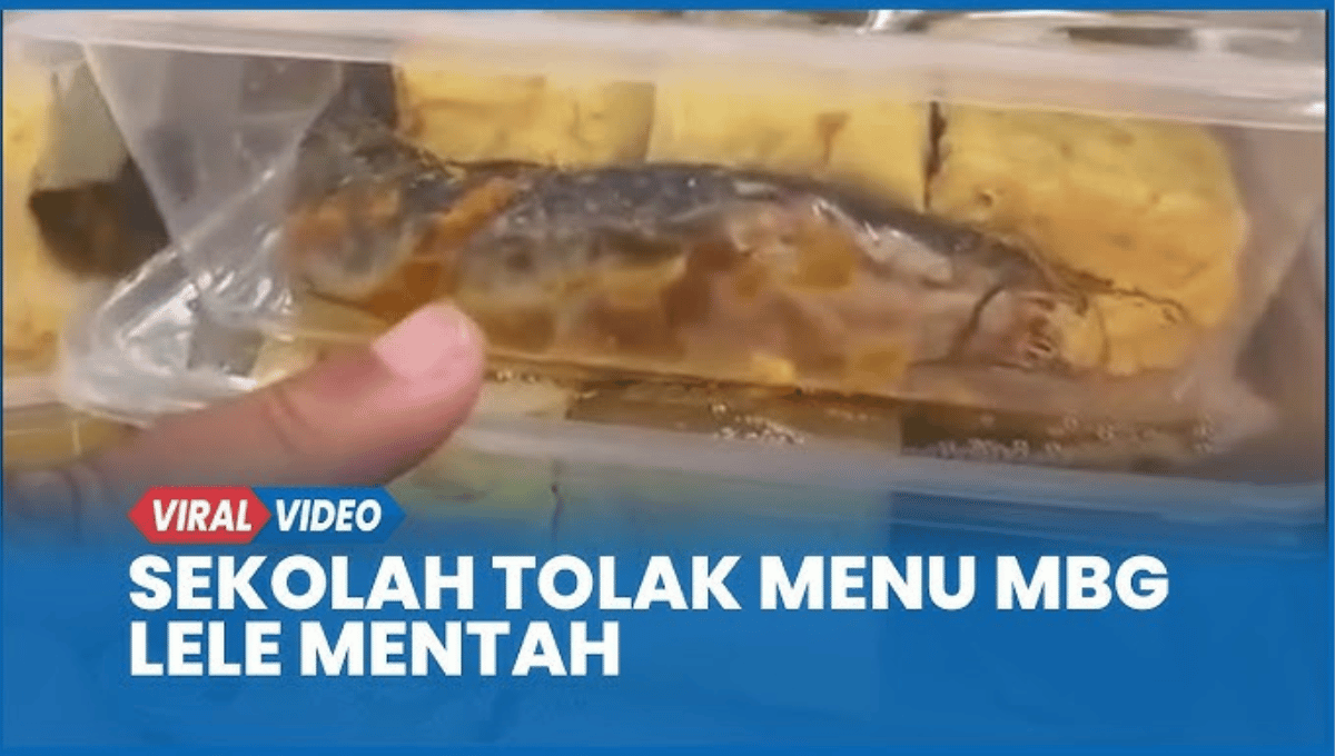 Viral Menu MBG Lele Mentah di Pamekasan: Fakta Lengkap, Klarifikasi BGN, dan Pelajaran Berharga