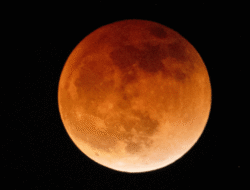 Puncak Blood Moon: Momen Paling Indah Gerhana Bulan Total 3 Maret 2026